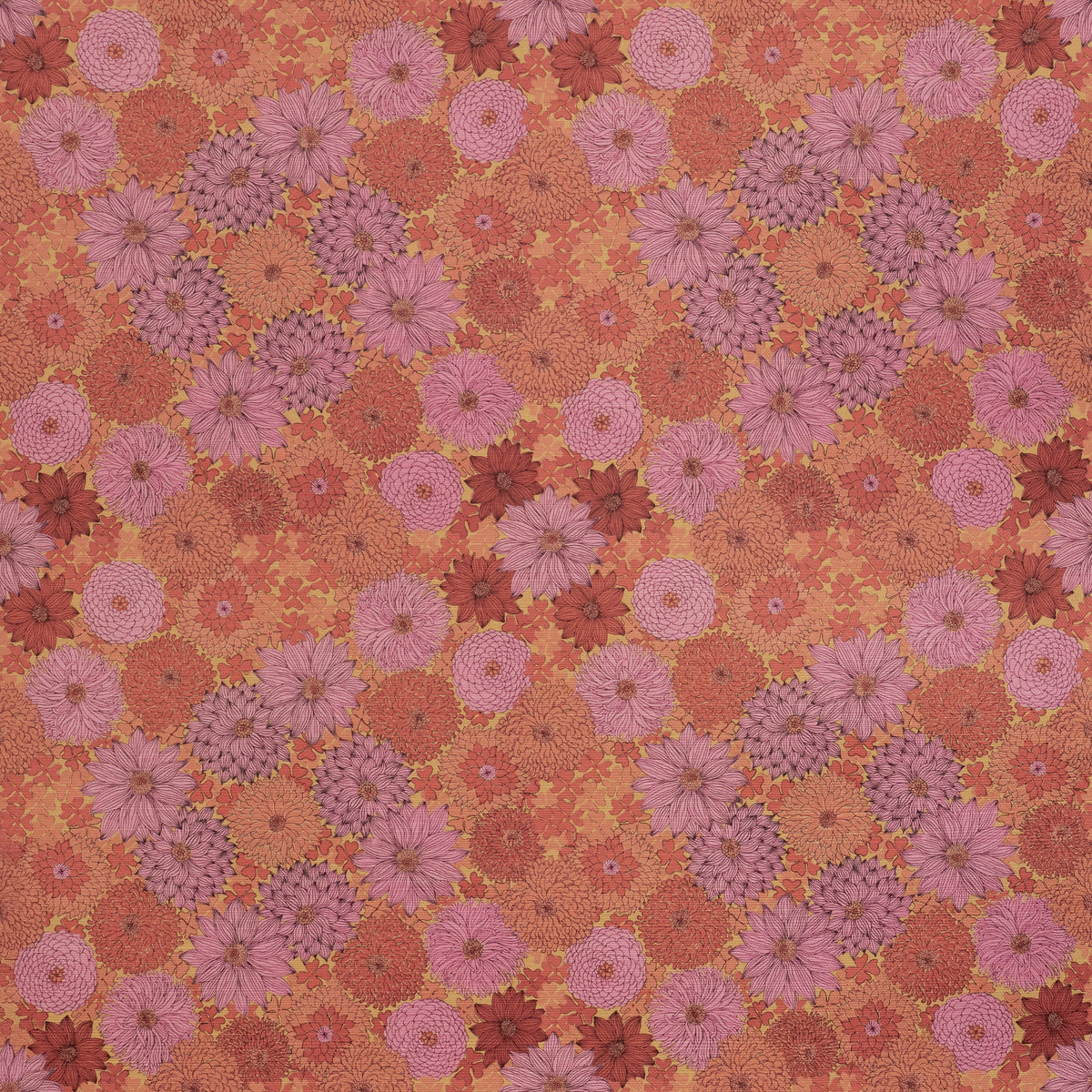 Wild Aster Wallpaper – Ink Pink