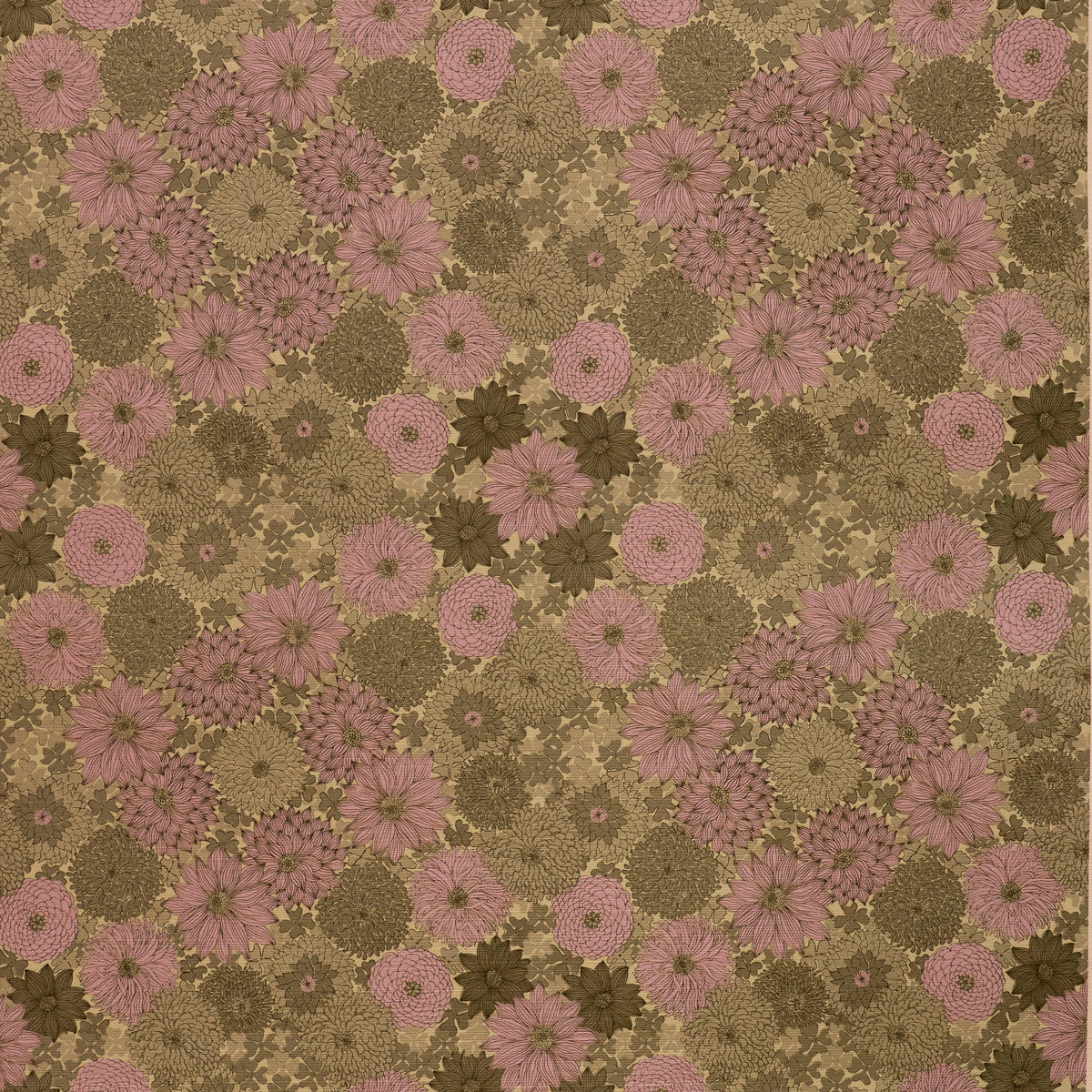 Wild Aster Wallpaper – Moss
